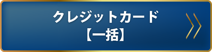 クレジットカード【一括】